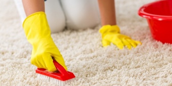 Лучшие средства и методы очистки ковров в домашних условиях