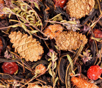 ��������� ������ ��� �������� � ��������� ���������. ������� "��� ��" � �����������